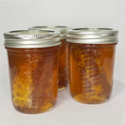 Comb in Honey - Jar